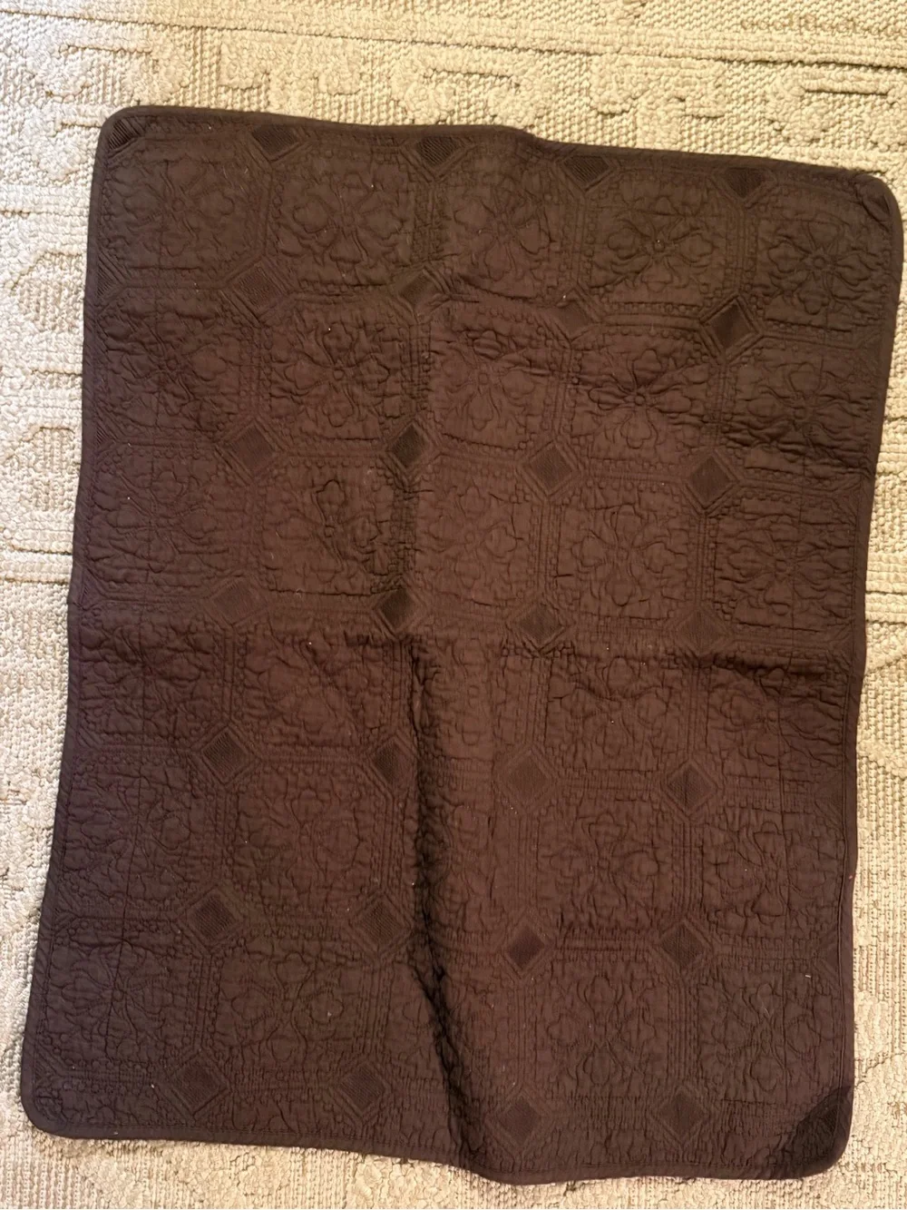 Earl & Wilson Textured Woven Sham Pillow Case , 100% Brown Cotton 21x27